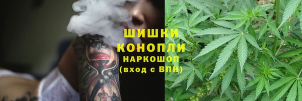 дживик Болохово