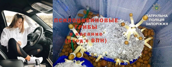 героин Михайлов