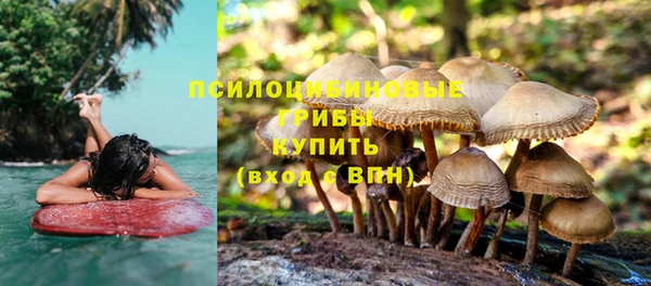 героин Михайлов
