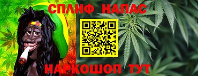 крисы Бузулук