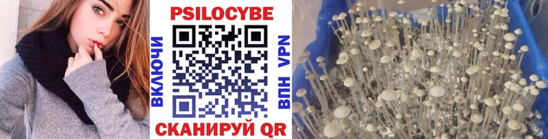 MEGA ссылка  Ипатово  Галлюциногенные грибы Cubensis  магазин   