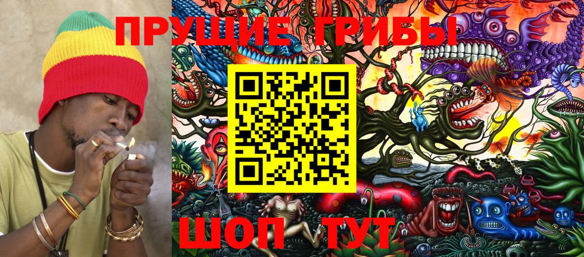 Псилоцибиновые грибы Cubensis  Ипатово 