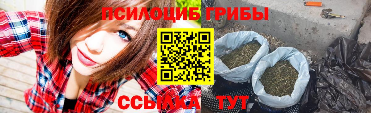 Ипатово  Псилоцибиновые грибы Magic Shrooms  Галлюциногенные грибы прущие грибы  Вход с VPN 